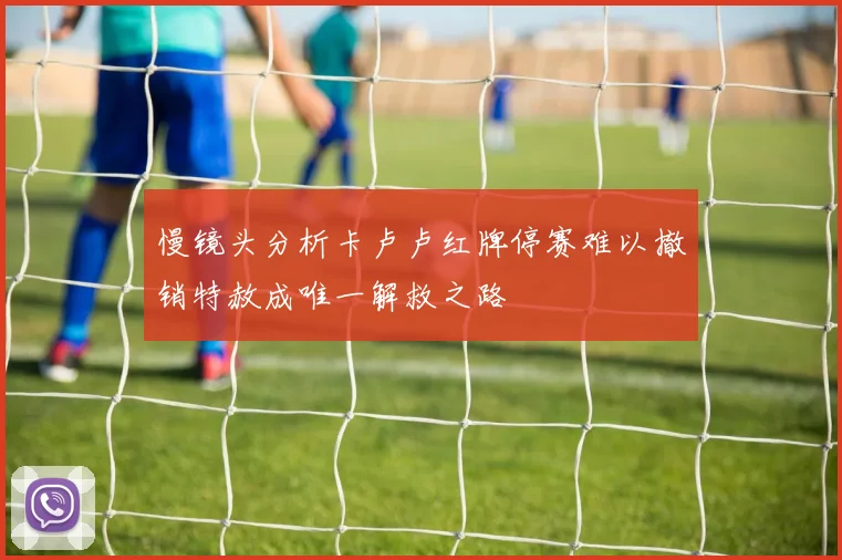 慢镜头分析卡卢卢红牌停赛难以撤销特赦成唯一解救之路